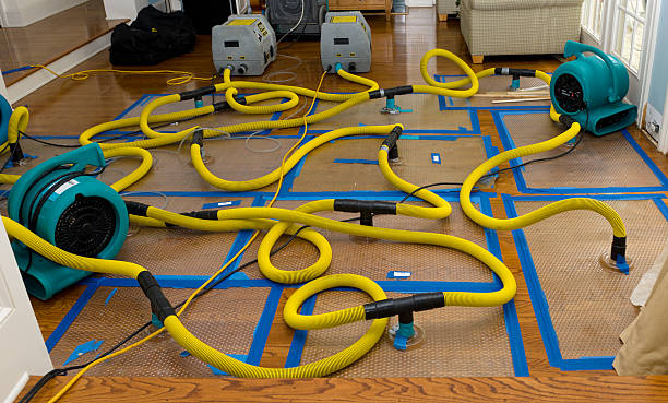 Professional Water Damage Repair technician working in Jeffersonville, KY